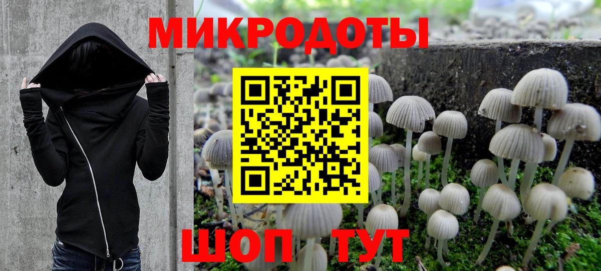Псилоцибиновые грибы MAGIC MUSHROOMS  Вход с VPN  Галлюциногенные грибы прущие грибы  Славянск-на-Кубани 